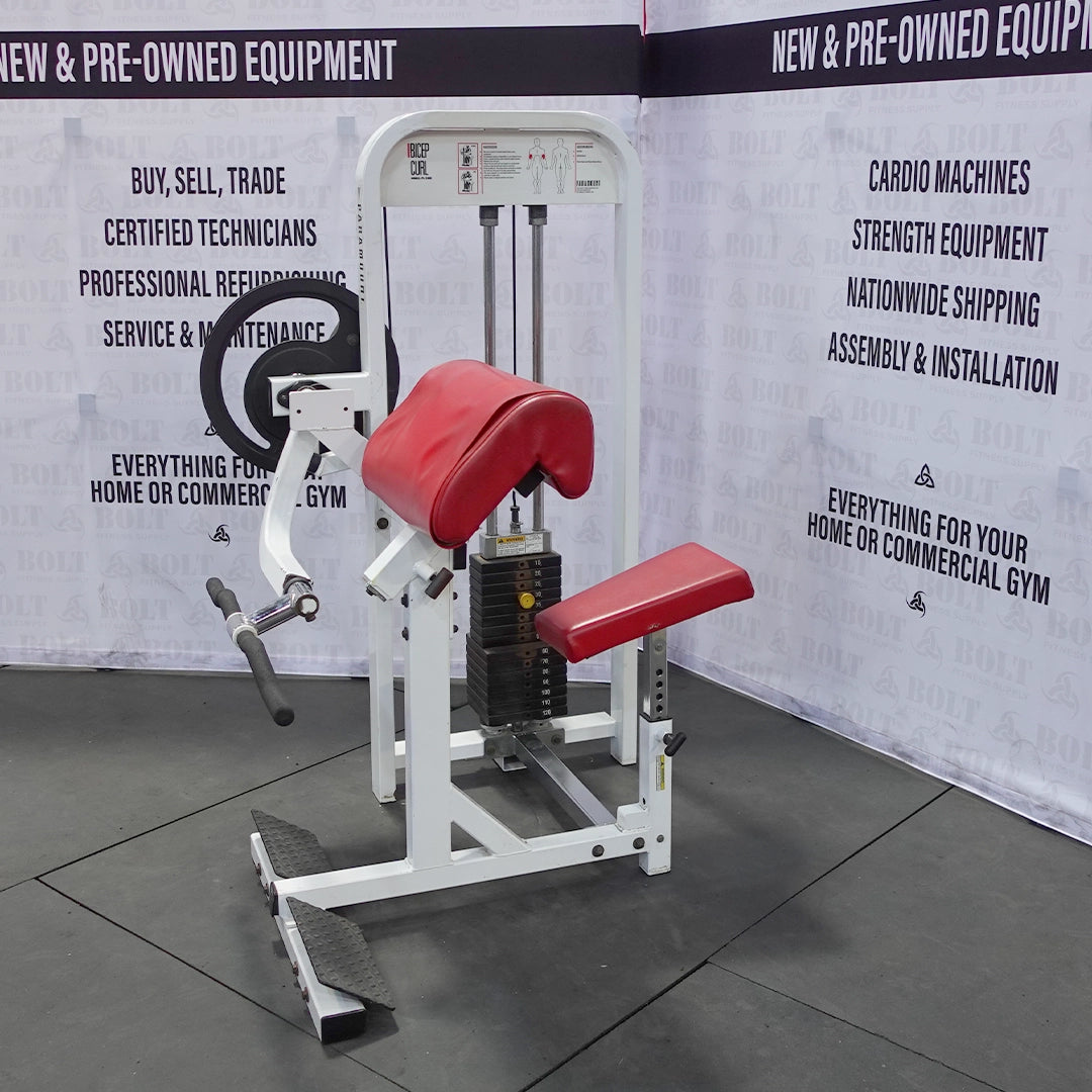 Paramount | Bicep Curl PL 2300