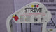 Strive | Low Back Extension | 38817